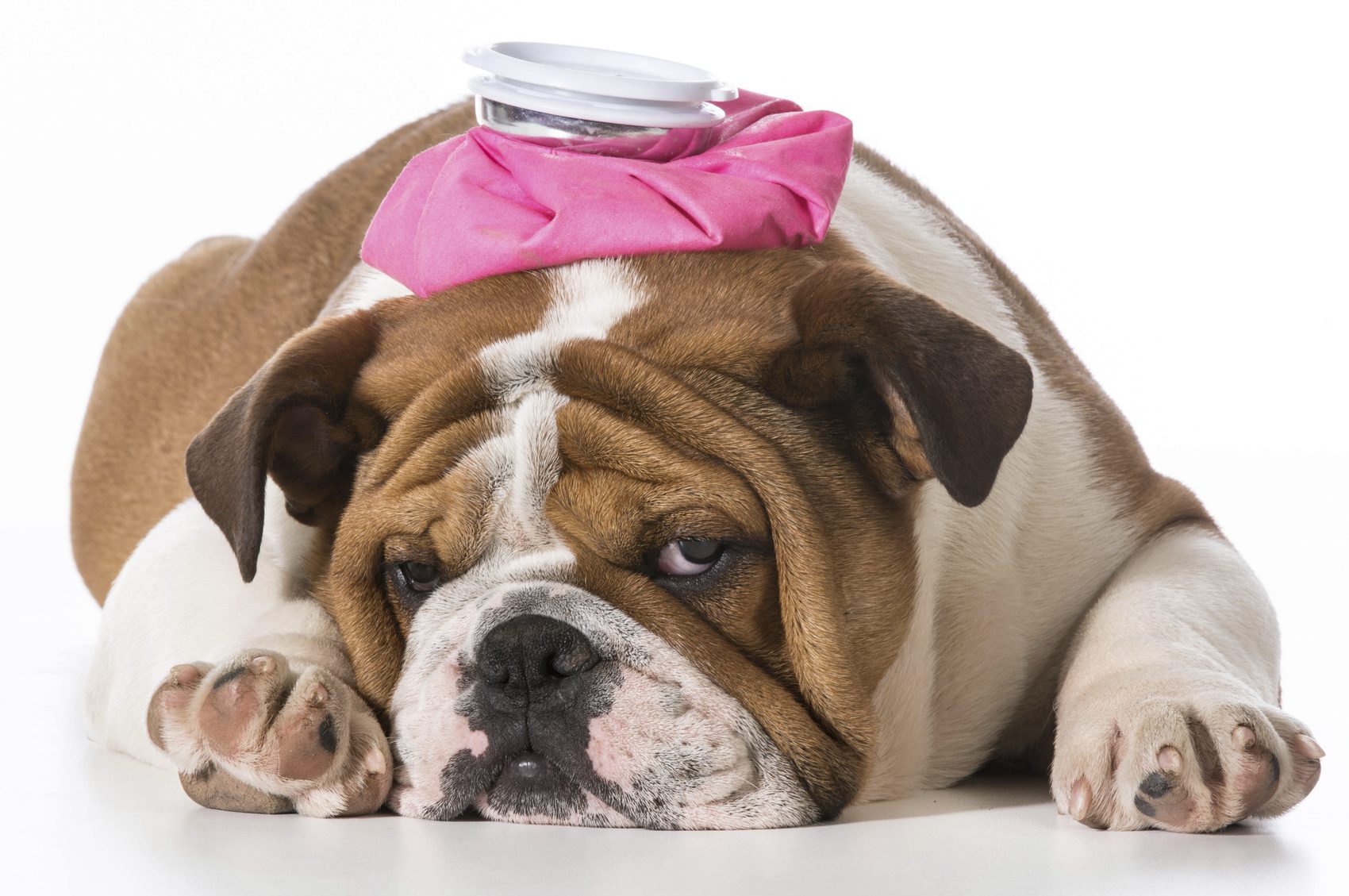 Ear piercing cures migraine?!